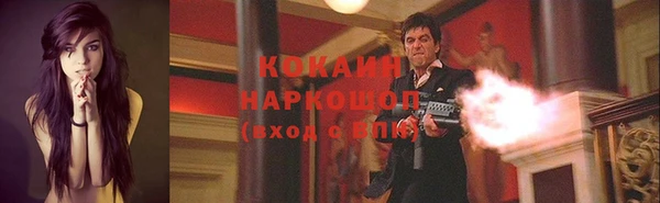 тгк Снежногорск