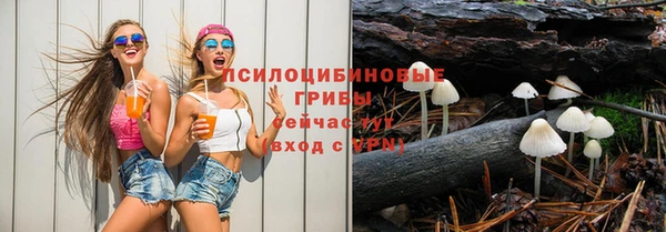 MESCALINE Верея