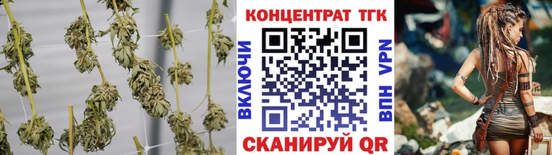 ТГК концентрат  Новосокольники 