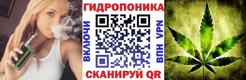 Каннабис Bruce Banner  закладки  Новосокольники 